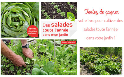 Livres "des salades toute l'année dans mon jardin"