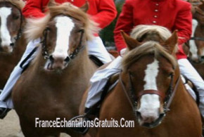 Invitations pour un spectacle équestre