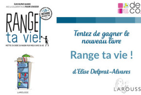 Livres "Range ta vie"