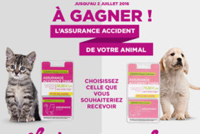 Assurance accident pour chienchat pendant 1 an