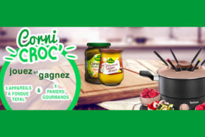 Concours gagnez des appareils à fondue Tefal