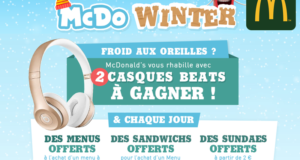 2 casques audio Beats