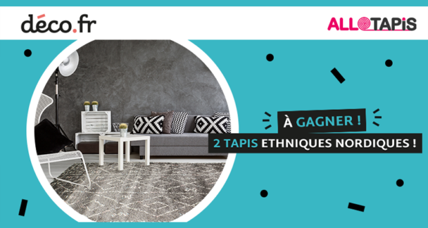 2 tapis ethniques nordiques