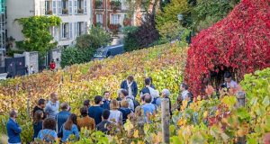 Visite gratuite de la Vigne du Clos Montmartre