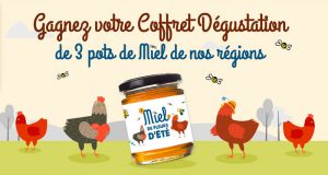 250 lots de 3 pots de miel avec une cuillère à miel à gagner