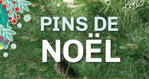 Distribution gratuite de Pins de Noël