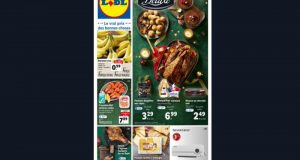 Catalogue Lidl du 07 décembre au 13 décembre 2022