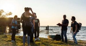 Balade guidée gratuite dans les prairies du bord du lac de Sanguinet