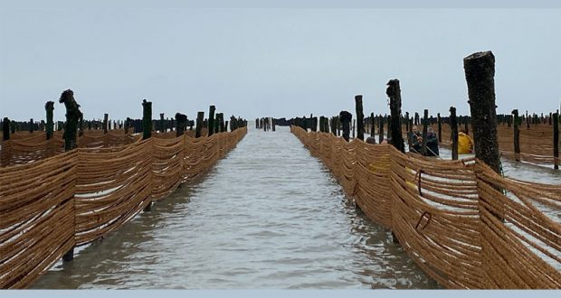 Visites gratuites de Moulières