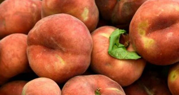 Distribution gratuite de 8 tonnes de fruits et légumes