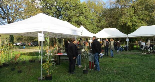 Distribution gratuite d'un arbre ou d'un lot de 3 arbustres