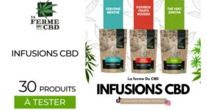 30 Infusions et tisanes au CBD à tester