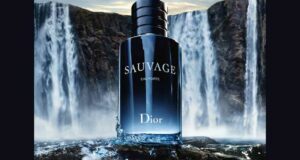 Échantillon Gratuit Nouveau Parfum Sauvage Eau Forte de Dior