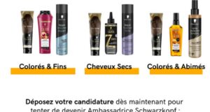 400 routines capillaires de Schwarzkopf Professional à tester