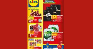 Catalogue Lidl du 09 octobre au 15 octobre 2024