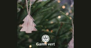 24 Sapins de Noël Nordmann à gagner