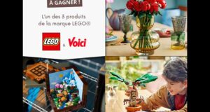 17 boites de Lego offertes (valeur 59 à 89 euros)