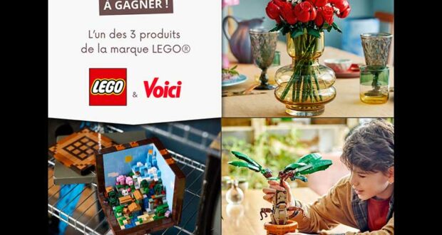 17 boites de Lego offertes (valeur 59 à 89 euros)