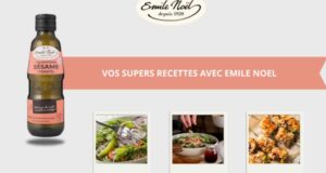 60 Huile de sésame toasté 250 ml Emile Noël à tester