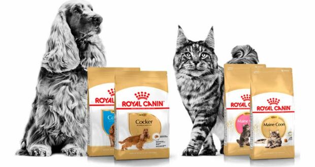 Demandez gratuitement vos Coffrets échantillons Royal Canin