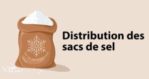 Distribution gratuite de sacs de sel et plan de déneigement