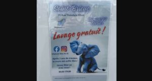 Lavage gratuit chez Éléphant Bleu