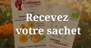 Échantillons Gratuits Sachet Graines Souci Calendula Officinalis