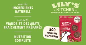 500 échantillons de galettes au bœuf pour chiens de Lily’s Kitchen